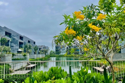 Phân tích dự án Casamia Blanca - Hội An: Giá trị sống xanh bền vững, vượt trội xu hướng