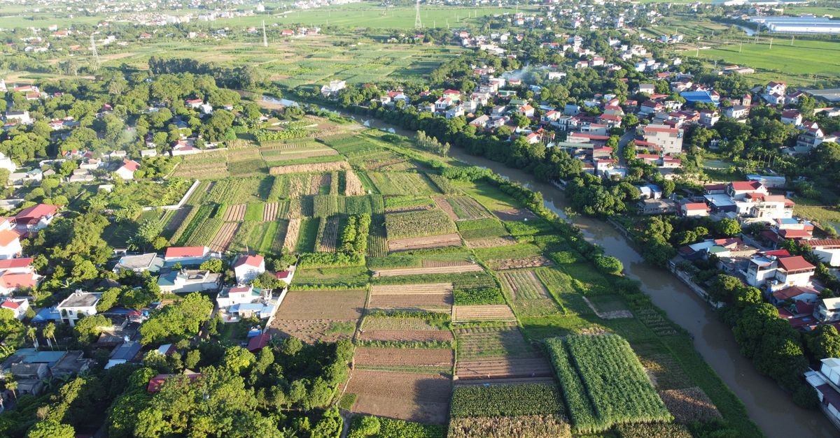 Đất ONT là đất ở tại nông thôn — nơi người dân xây nhà, làm vườn trong cùng thửa đất